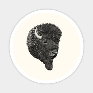 Bison head Magnet